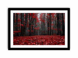 Framed Print