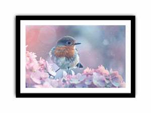 Framed Print