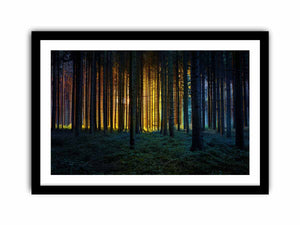 Framed Print