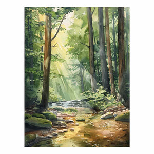 Forest Path