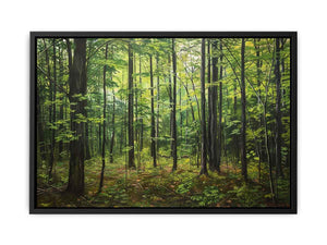 Northern Hardwood Forest Painting Canvas Print