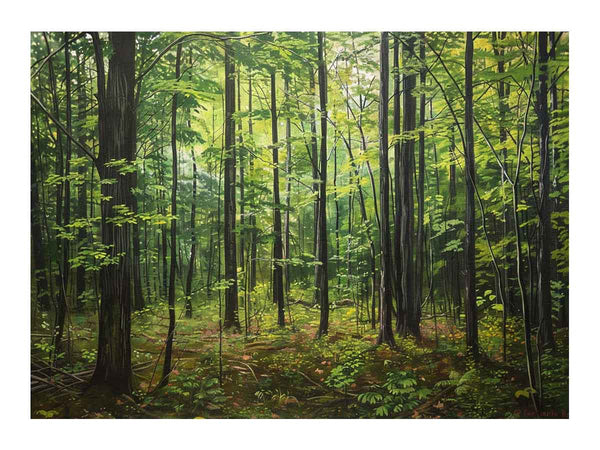 Northern Hardwood Forest Painting Art Print