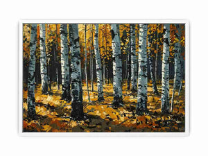 Birch Trees Framed Print