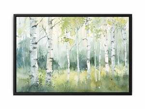 Birch Trees Canvas Print