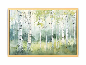 Birch Trees Streched canvas