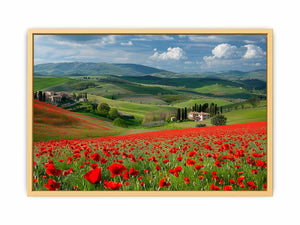 Field Of Poppies Streched canvas