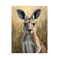 Kangaroo