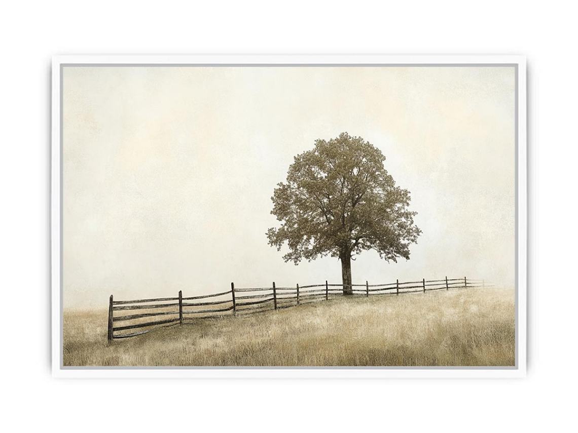 Solitary Whisper Framed Print