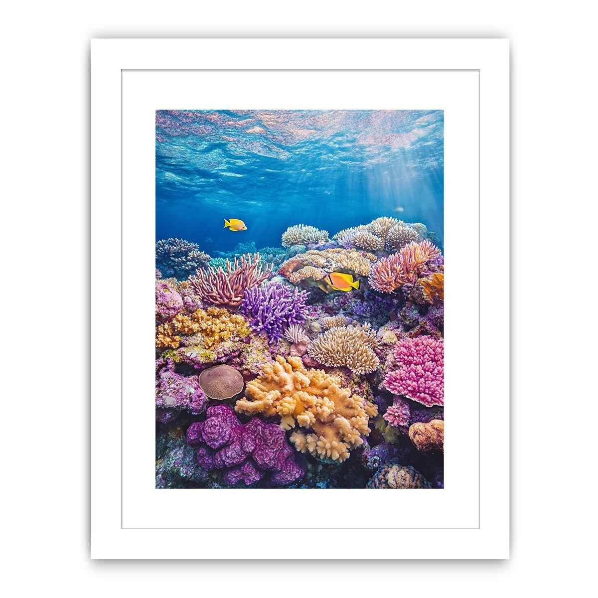 the Great Barrier Reef Photo Streched canvas