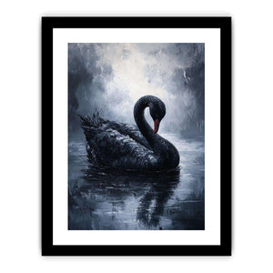 Black Swan  Art Print