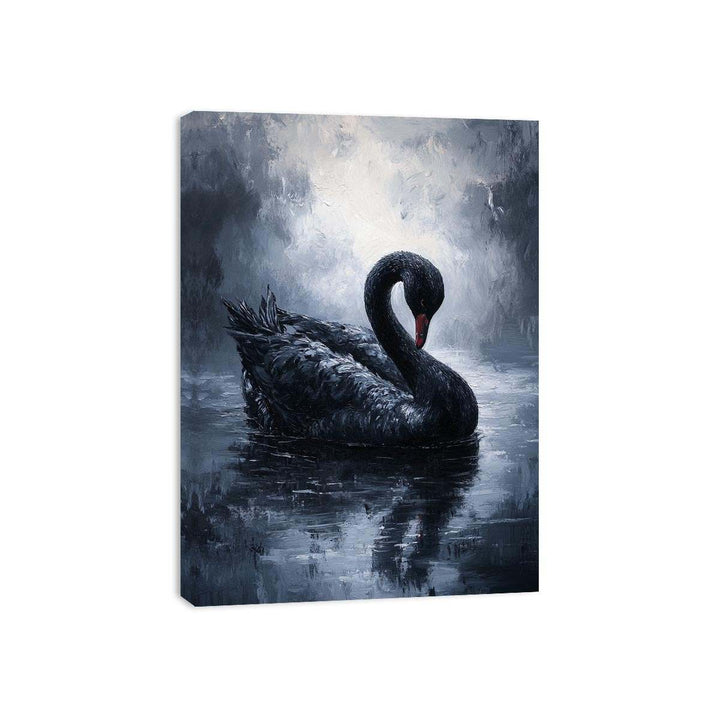 Black Swan Canvas Print