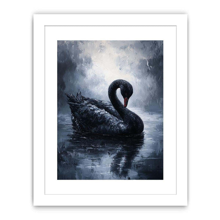 Black Swan Streched canvas
