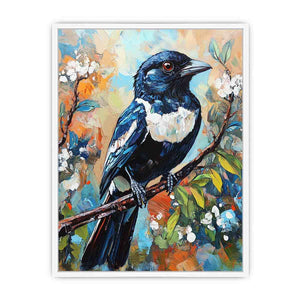 Australian Magpie Framed Print