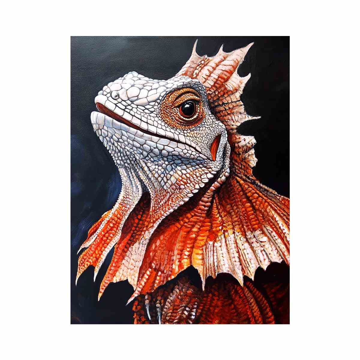 Frilled Neck Lizard
