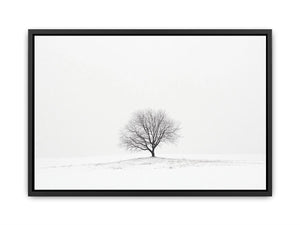isolated Tree 11  Painting