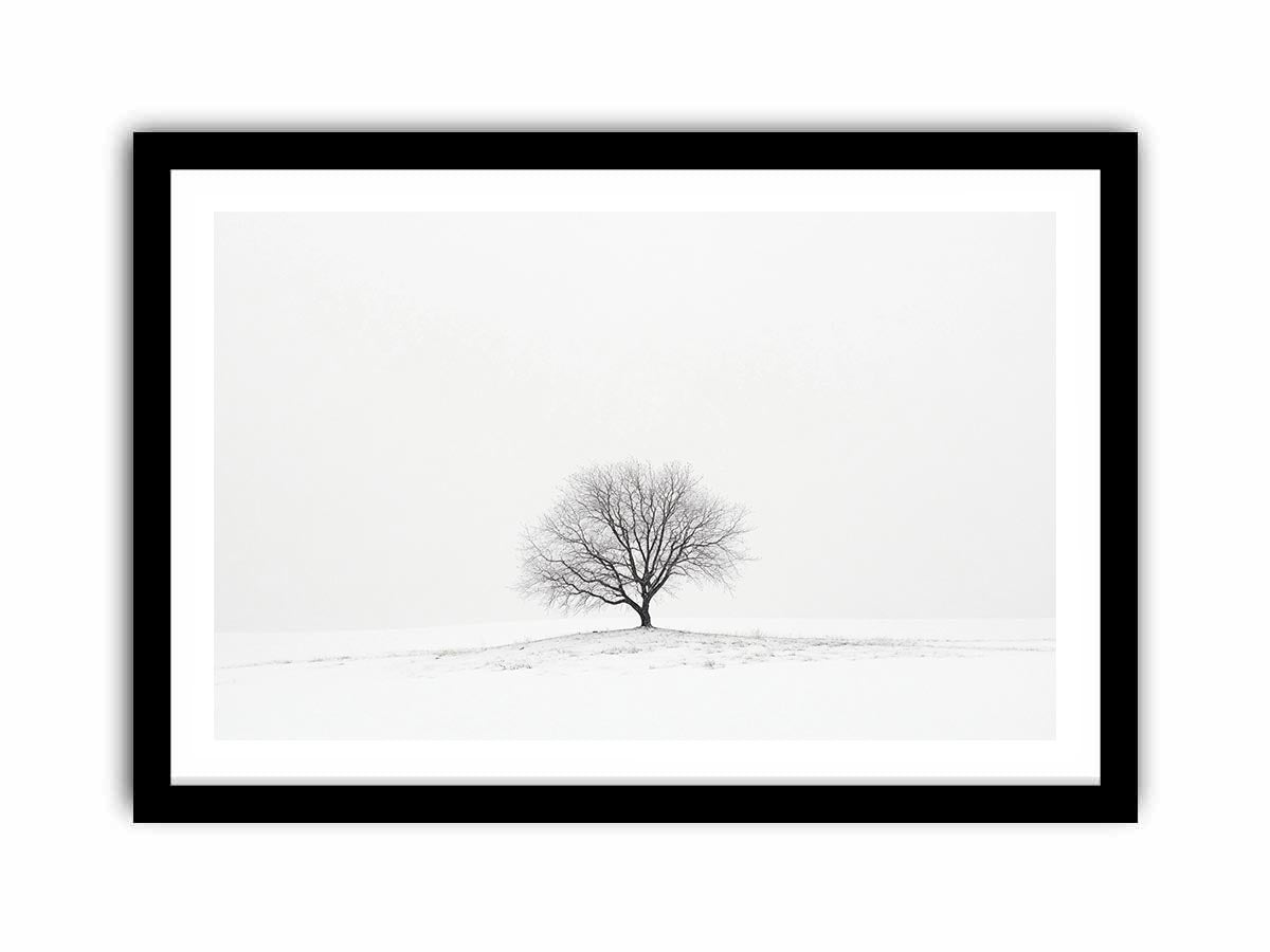 isolated Tree 11  Art Print