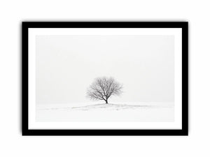 isolated Tree 11  Art Print