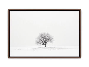 isolated Tree 11  Poster