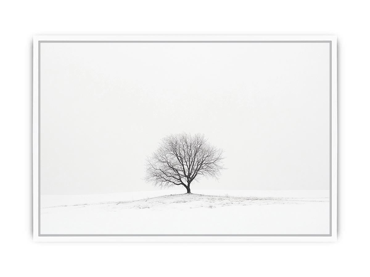 isolated Tree 11 Framed Print