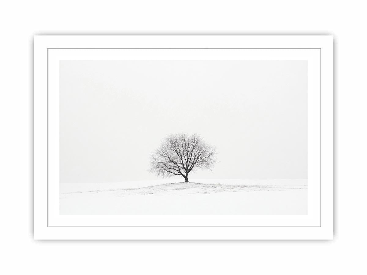 isolated Tree 11 Streched canvas
