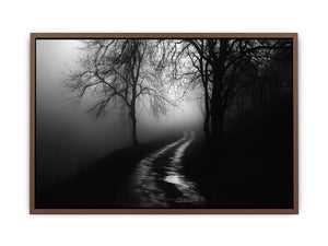 monochrome path  Poster
