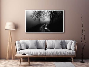 monochrome path 