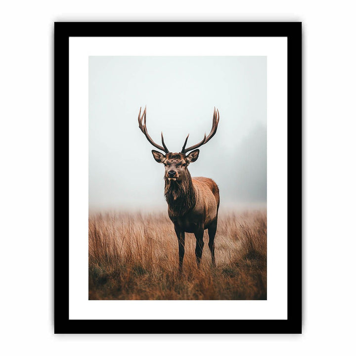 Magestic Stag 11  Art Print