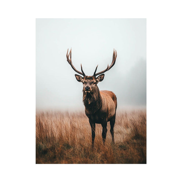 Magestic Stag 11