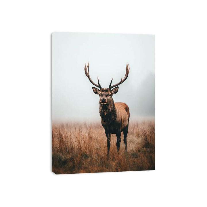 Magestic Stag 11 Canvas Print