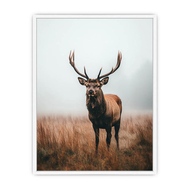 Magestic Stag 11 Framed Print