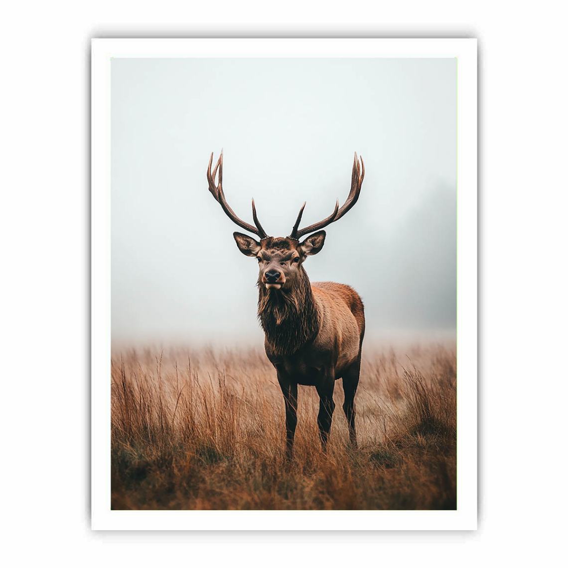 Framed print