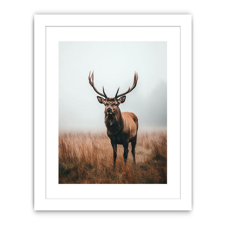 Magestic Stag 11 Streched canvas