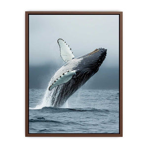 Humpback Whale  Poster