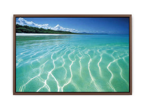 Noosa  Poster