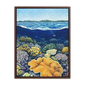 Coral of the Great Barrier Reef  Poster