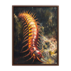 Australian Giant Centipede  Poster