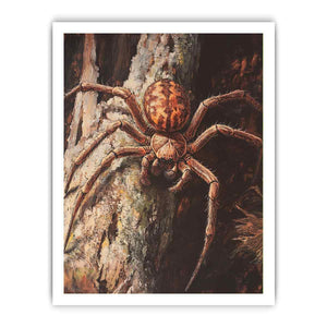 Framed print