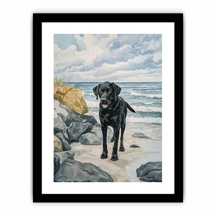 Labroador  Art Print