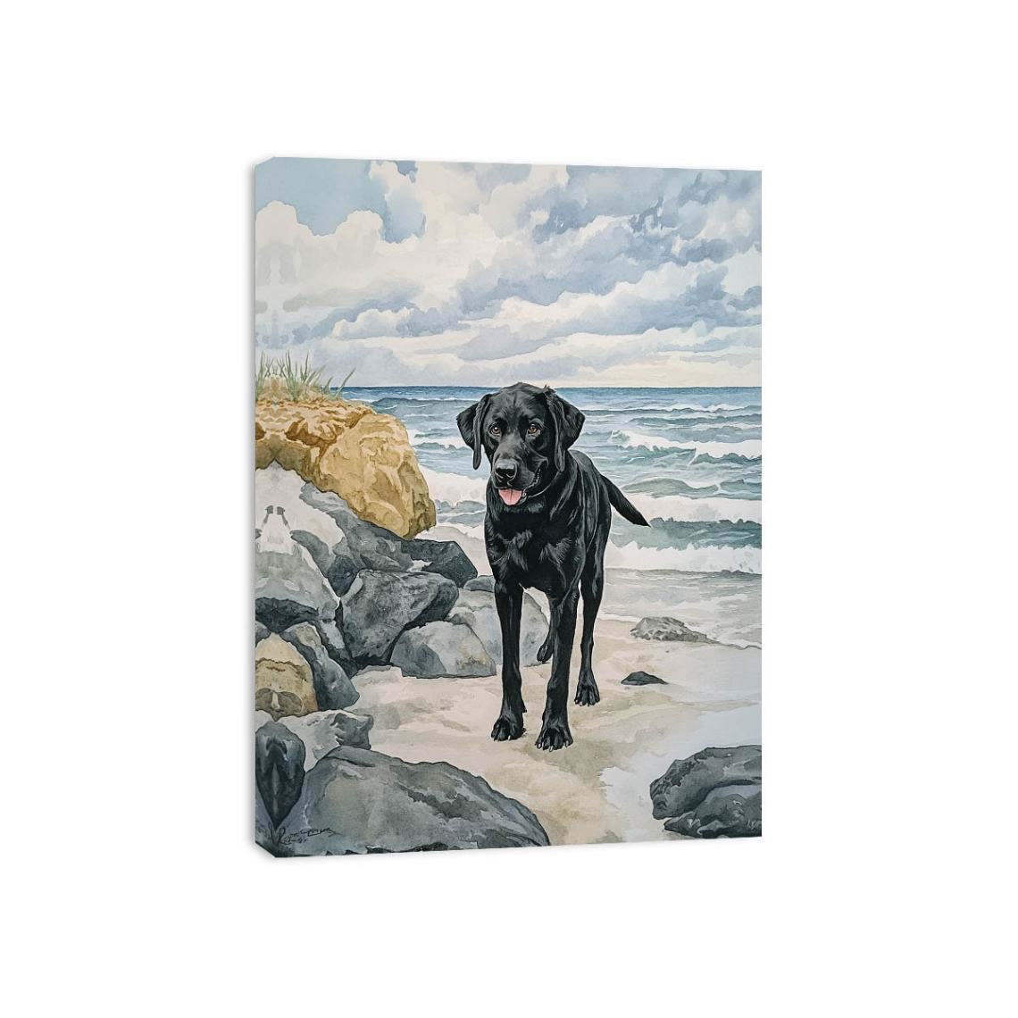 Labroador Canvas Print
