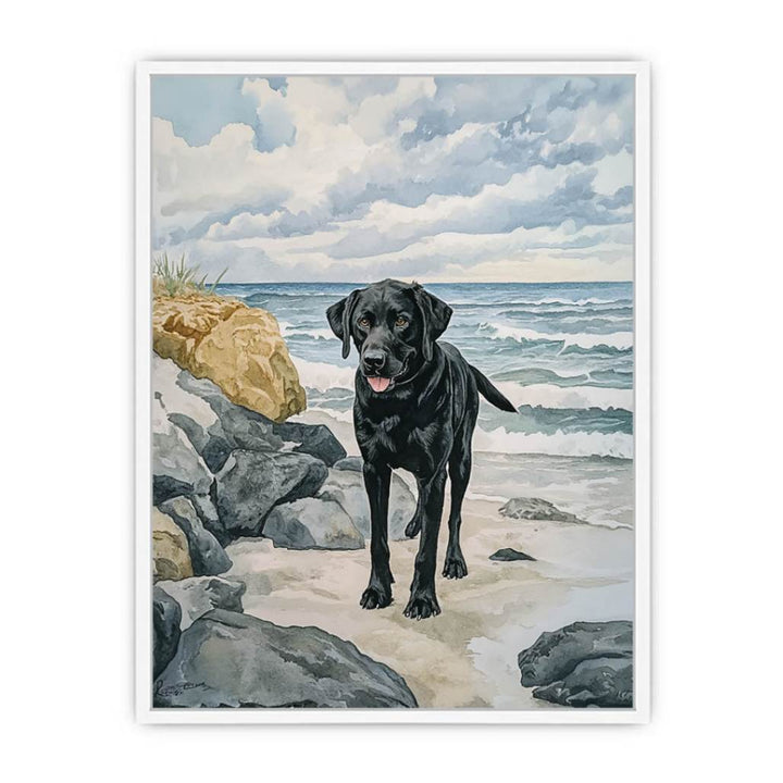 Labroador Framed Print