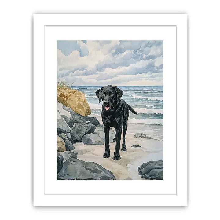 Labroador Streched canvas