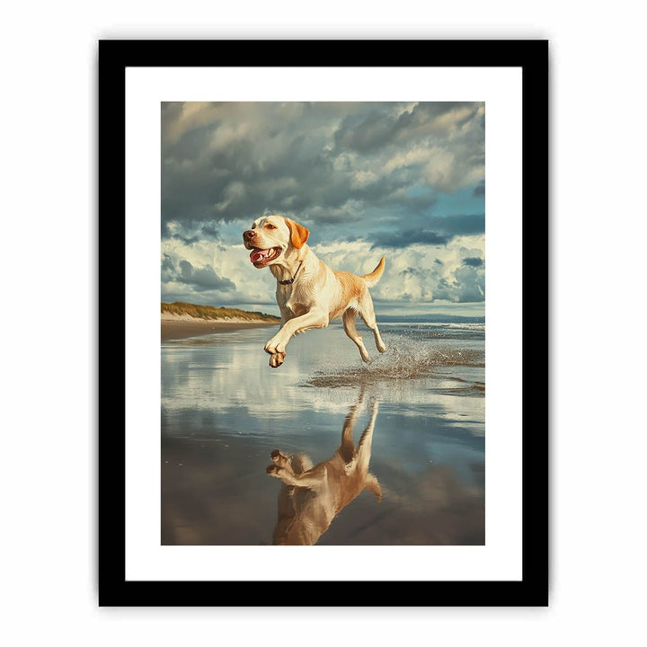 Sandy Paws At Dusk  Art Print