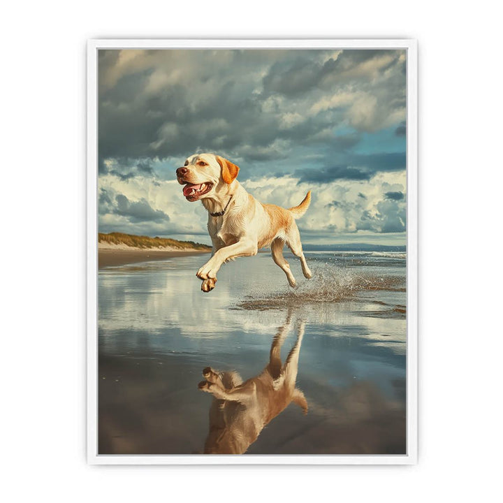Sandy Paws At Dusk Framed Print