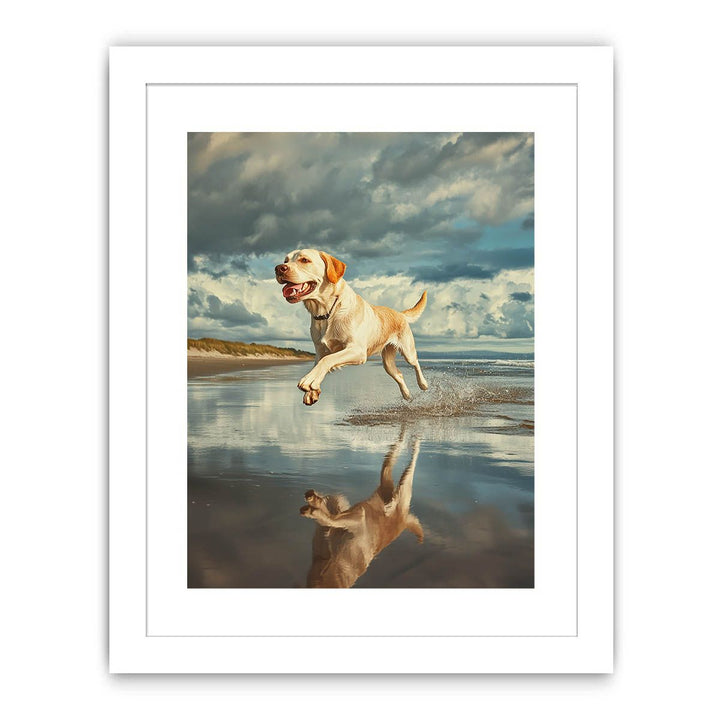 Sandy Paws At Dusk Streched canvas