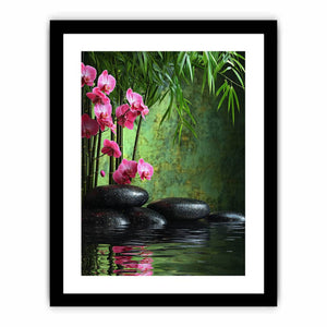 Rock Orchid   Art Print