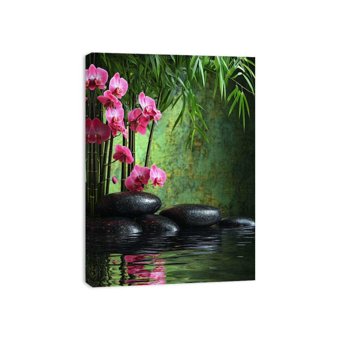 Rock Orchid  Canvas Print