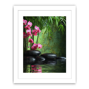 Rock Orchid  Streched canvas