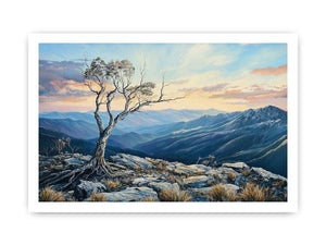 Framed print