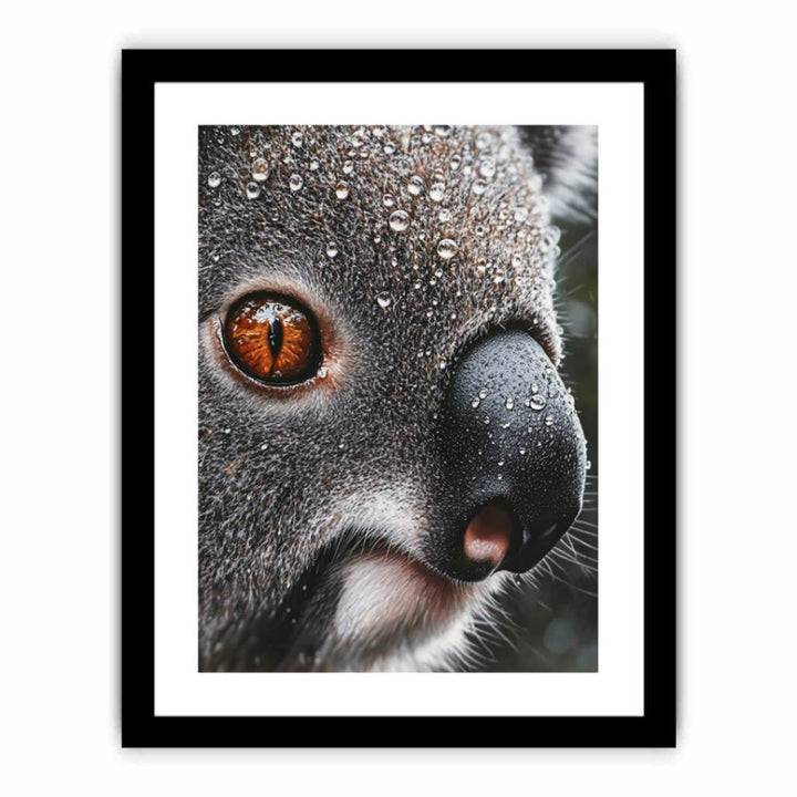 Serene Wanderer Koala  Art Print