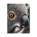 Serene Wanderer Koala